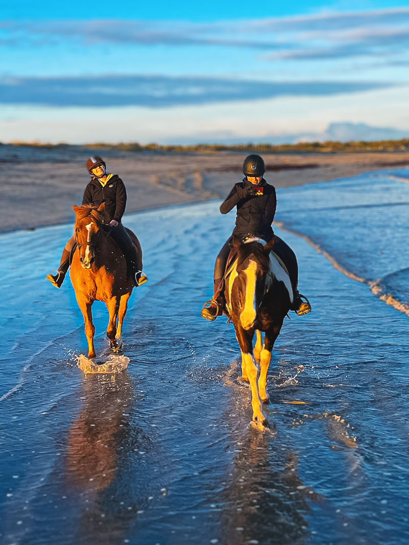 Balade à cheval dans le Morbihan