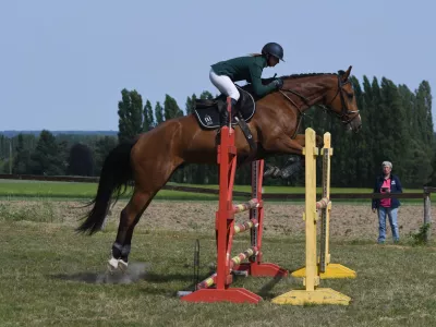 Cours / Compétition